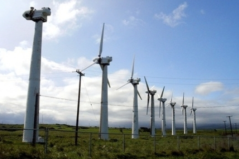 В Британии хотят ввести мораторий на строительство ветряных электростанций