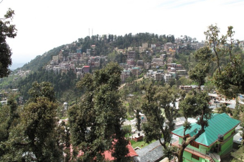 Путешествие в Индию и Непал. Город Дармсала (часть 4)