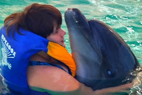 Девочка исцелилась благодаря дельфину по имени Ян