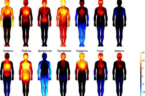 Финские учёные составили карту эмоций на человеческом теле