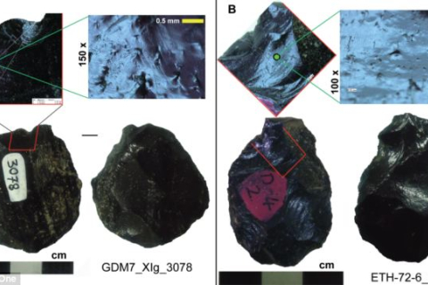 В Эфиопии обнаружены каменные наконечники копья старше человечества