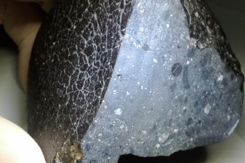 Бедуины обнаружили уникальный древнейший метеорит