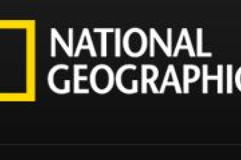 В Украине приостановили трансляцию телеканала National Geographic