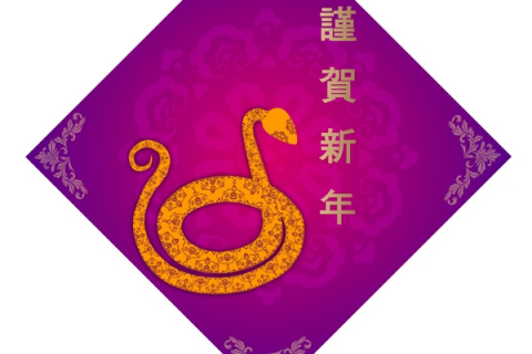 Что говорят китайцы о людях, родившихся в год змеи?