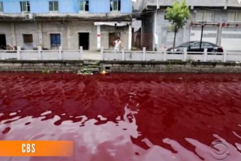 Китайская река за ночь стала красной (видео)