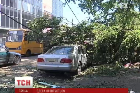 Одессе выделят 27 млн грн на ликвидацию последствий урагана