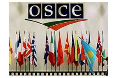 Украина начнёт председательствовать в ОБСЕ с 15 января 2013 года