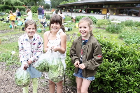 Уроки на свежем воздухе: в Нидерландах школьники учатся выращивать овощи и фрукты