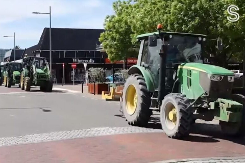 Новозеландские фермеры выходят на улицы в знак протеста против планов правительства обложить налогом коровьи отрыжки