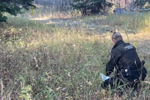 Медведь напал на семью в Канаде, после чего «охранял» двух тяжелораненых женщин от спасения