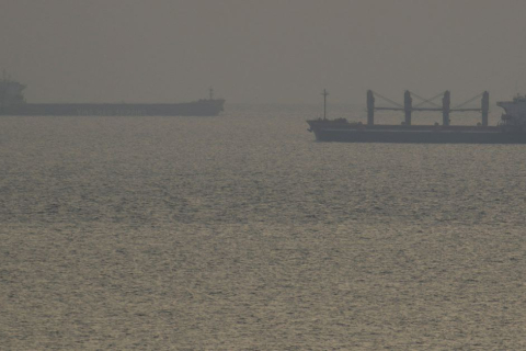 Ще п'ять вантажних суден прямують до чорноморських портів України, повідомив віцепрем'єр-міністр