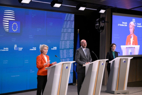 27 країн виступили за прискорення повернення нелегальних іммігрантів, проте шляхи досягнення цієї мети різні