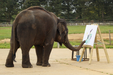Каришма — слониха-художница