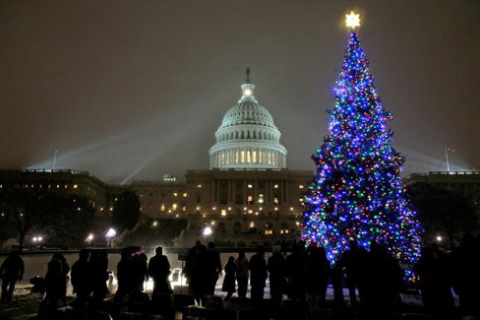 В Вашингтоне установили рождественскую ёлку (фотообзор)