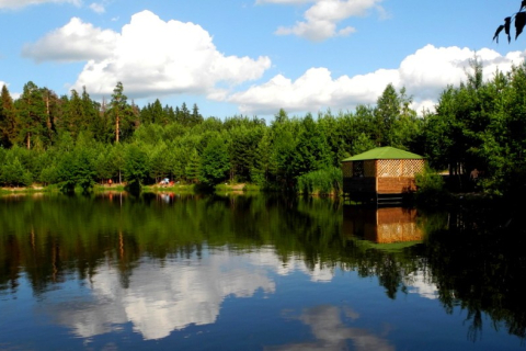 Краса лісового озера в Кіржачі