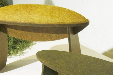 Латвийский дизайнер создаёт экомебель из иголок елей и сосен
