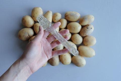 У Швеції створили біорозкладаний пластик із картопляного крохмалю і води