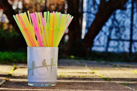  Почему не стоит полностью запрещать пластиковые соломинки