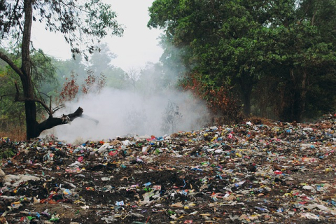 Війна із пластиком у розпалі: яку стратегію обирають країни