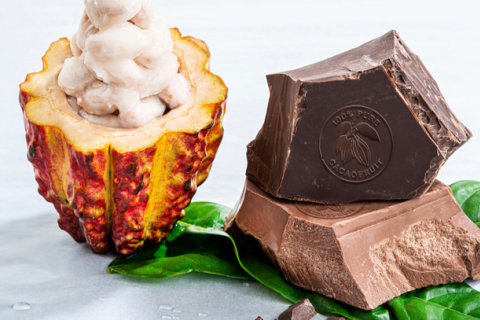Экологический шоколад из плодов какао, которые раньше шли на выброс, — новинка от Barry Callebaut