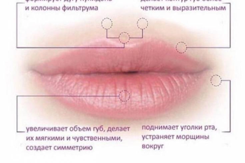 Контурная пластика губ: эффективная процедура для улучшения женской внешности