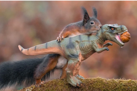 Фотограф сделал веселую серию фотографий белок с динозаврами