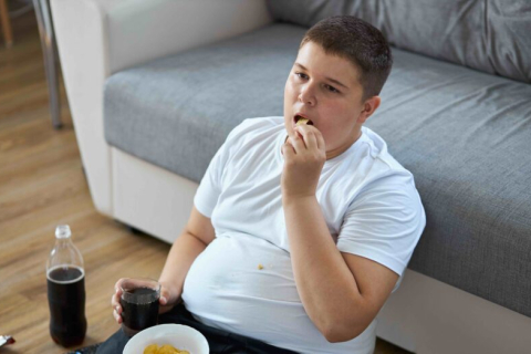 Вісцеральний жир підвищує ризик розвитку різних захворювань