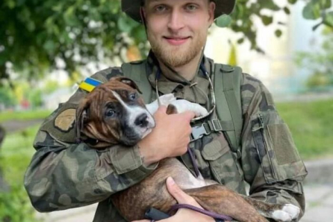 10 фотографий кошек и собак, которые были спасены украинскими солдатами, опубликованы Instagram-аккаунтом