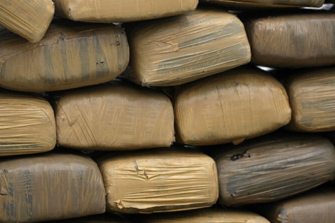 Испания: изъято 32 тонны каннабиса — мировой рекорд по данным полиции