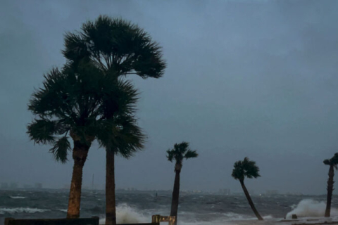 Ураган "Ніколь": відключення електроенергії через сильний листопадовий шторм, що ударив по Флориді