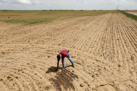 Китайцы скупают сельскохозяйственные земли в США. Законодатели видят в этом «угрозу национальной безопасности»