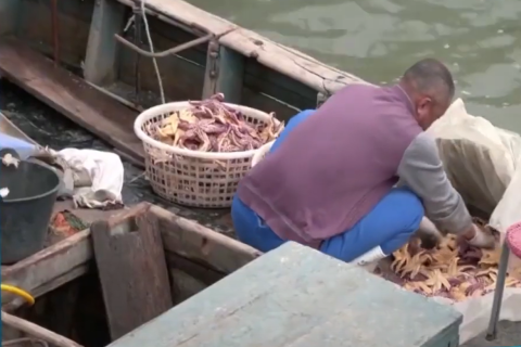 Рыболовство в Китае связано с принудительным трудом уйгуров