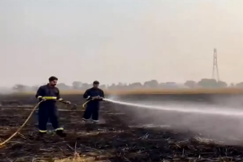 Суд в Індії заборонив фермерам спалювати залишки відходів через небезпечний смог (ВІДЕО)