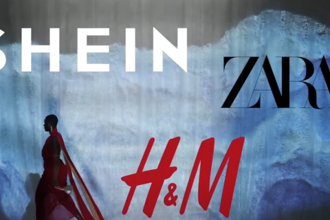 SHEIN, схоже, обжене H&M і наблизиться до Zara (ВІДЕО)