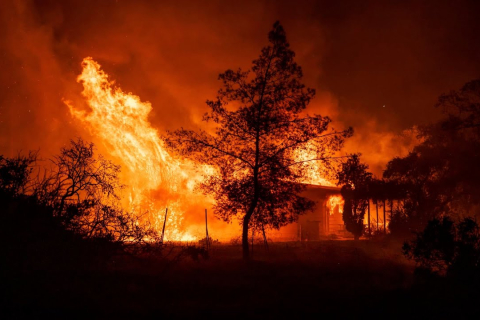 Лісова пожежа в Каліфорнії, спричинена вітрами пустелі, призвела до масової евакуації (ВІДЕО)