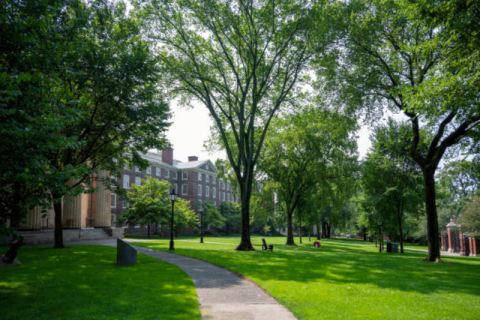 Согласно отчету, в американских колледжах наблюдается 17-процентное снижение числа вновь зачисленных иностранных студентов.