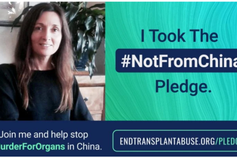 Учительница Австралии призывает не использовать органы для трансплантации из Китая