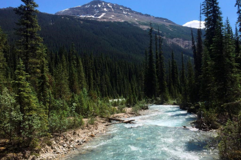 Канада виділить 14,7 млн доларів на боротьбу з водними інвазивними видами в гірських парках