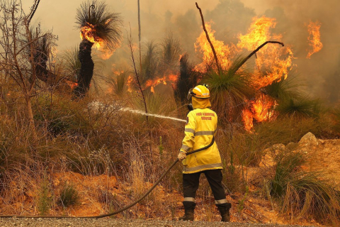 Западное побережье Австралии снова в огне. Более 150 га сожжено