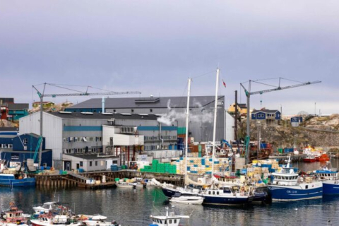 Гренландия приостановила действие рыболовного соглашения с Россией