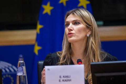 Бывший вице-президент Европарламента Ева Кайли, обвиняемая в коррупции, делает частичное признание