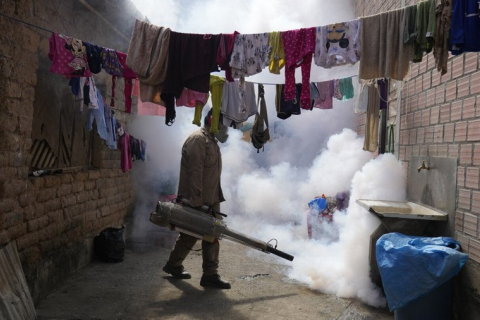 Число случаев заболевания денге увеличилось в десять раз, сообщила ВОЗ