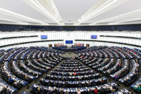 Європейський парламент засуджує викрадення та ідеологічну обробку тибетських дітей