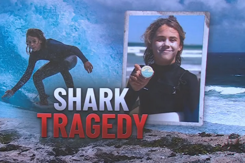 15-летний серфингист погиб в результате нападения акулы в Австралии