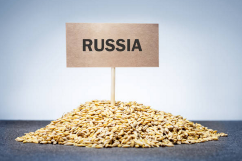 Американскую компанию NCH Capital обвинили в экстремизме в РФ