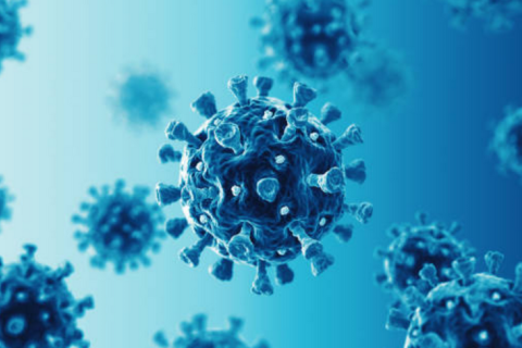 Согласно отчету, мошенничество, связанное с COVID, нанесло ущерб государственным финансам Великобритании в размере 11 миллиардов фунтов стерлингов