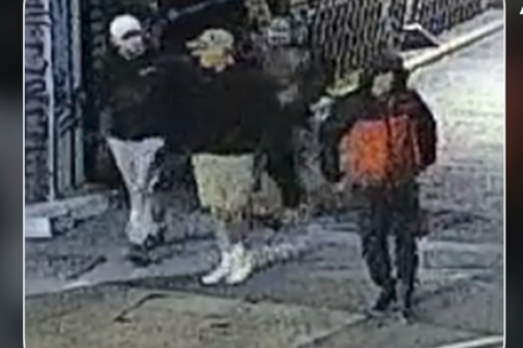 Из британского музея похищены сотни «ценных» артефактов