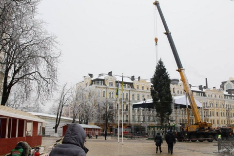 Главная ёлка столицы установлена на Софийской площади
