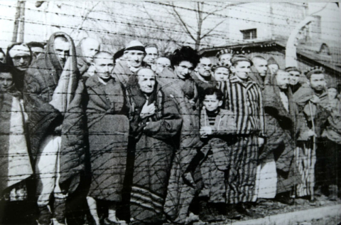 Люди які вижили в таборі Освенцім-Біркенау. Січень 1945 р