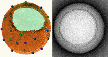 nanosponge-720.jpg